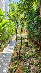 Anthony Road (D9), Terrace #636115491